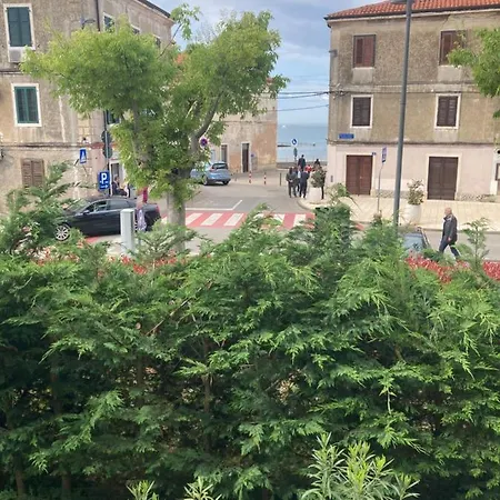 App Goga Umag